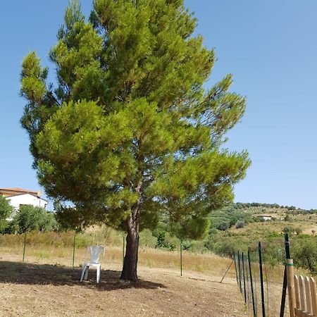Villetta Nel Verde Ашеа Экстерьер фото