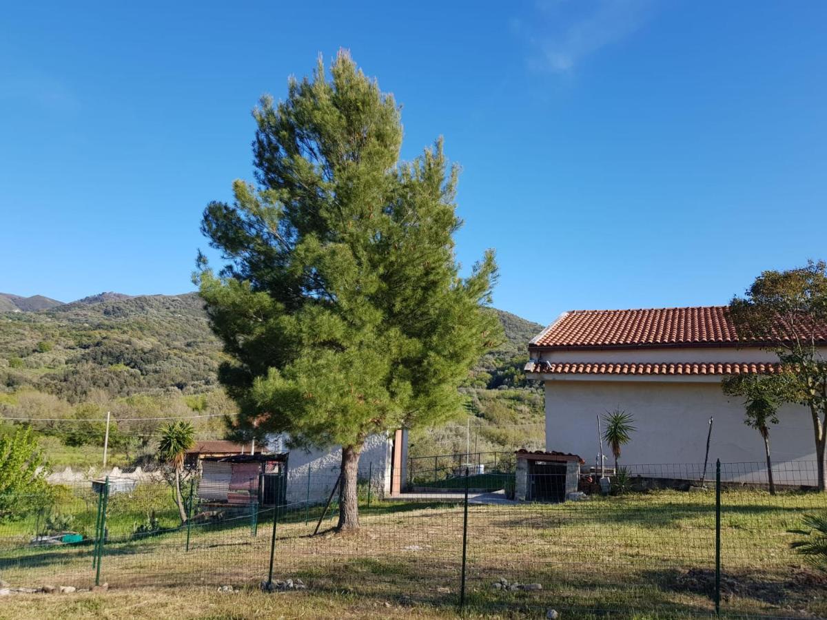 Villetta Nel Verde Ашеа Экстерьер фото