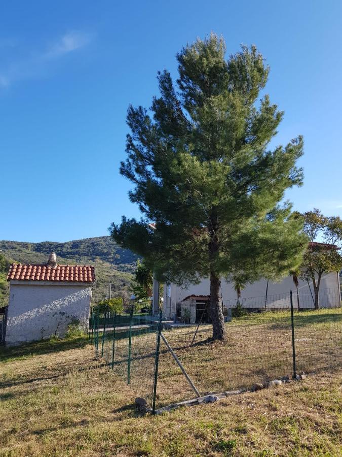 Villetta Nel Verde Ашеа Экстерьер фото